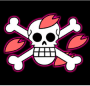 Imagem bandeira do personagem Chopper